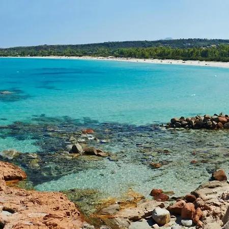 펜션 Murdegus Maison - Vivi Il Tuo Sogno In Sardegna! 토르톨리