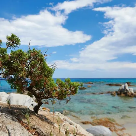 펜션 Murdegus Maison - Vivi Il Tuo Sogno In Sardegna! 토르톨리
