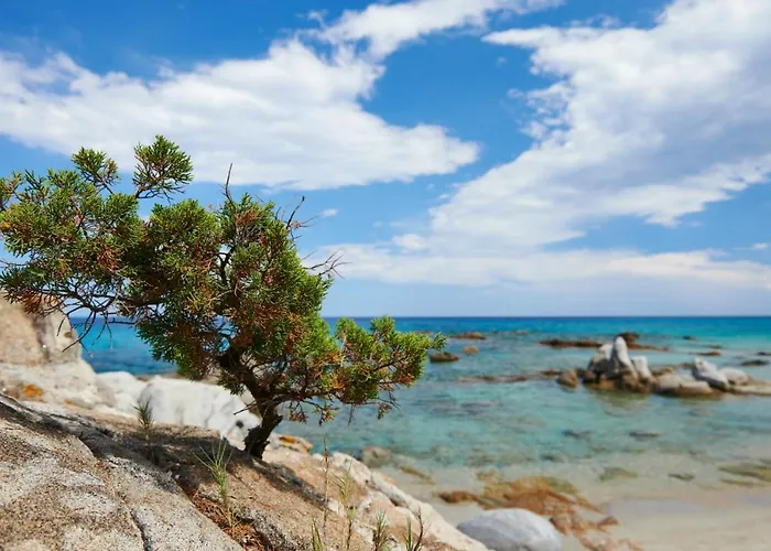 Tatil Evi Murdegus Maison - Vivi Il Tuo Sogno In Sardegna! Tortolì